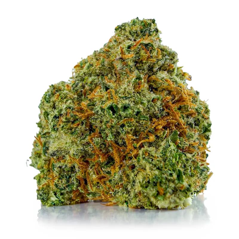PINK JEFE flower listing