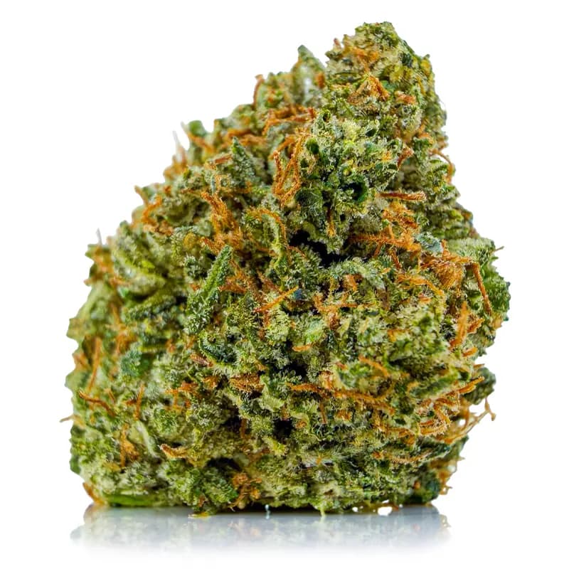 PINK SKYWALKER flower listing