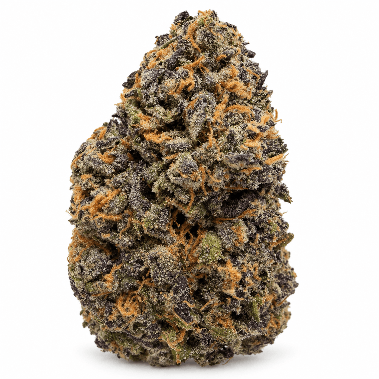 PURPLE JEALOUSY related flower listing