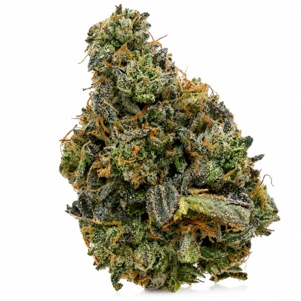 WORLD CUP KUSH flower listing