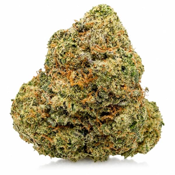 COSMIC COOKIES related flower listing