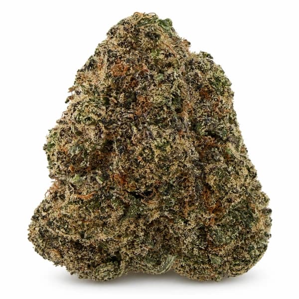 NEW BLACK MAMBA (AAAA+) related flower listing