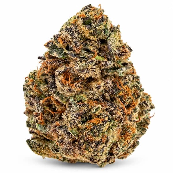 PINK SUPERMAN flower listing