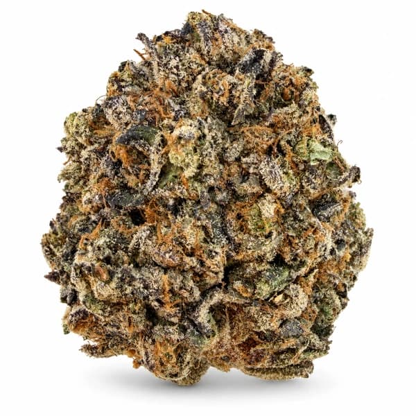 BLUE WAGU related flower listing
