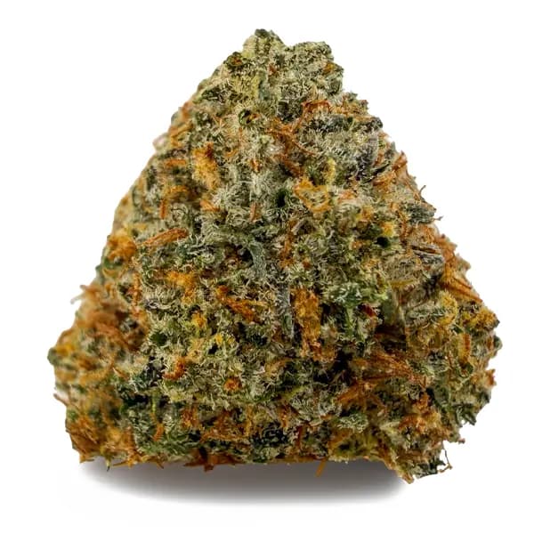 PURPLE PUNCH flower listing