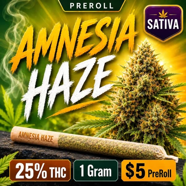 AMNESIA HAZE 1G SAT PRE-ROLL product listing