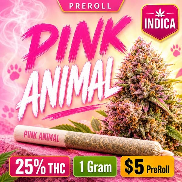 PINK ANIMAL 1G IND PRE-ROLL product listing