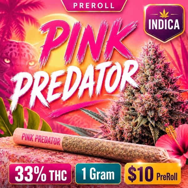 PINK PREDATOR 1G IND PRE-ROLL product listing
