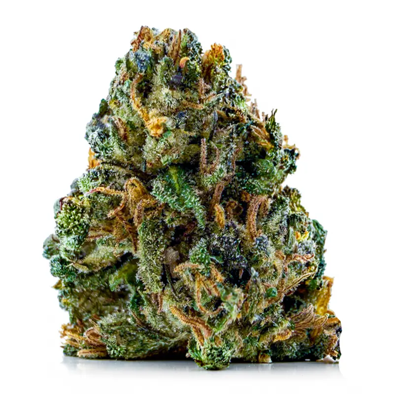 PINK STICKY ALIEN flower listing