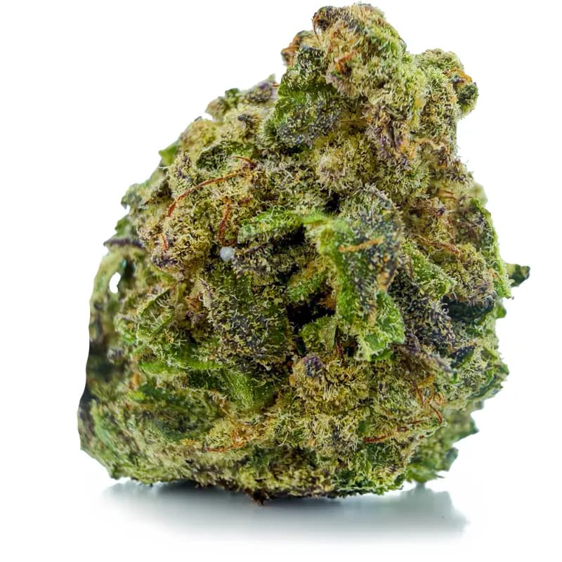 GAS MONKEY flower listing
