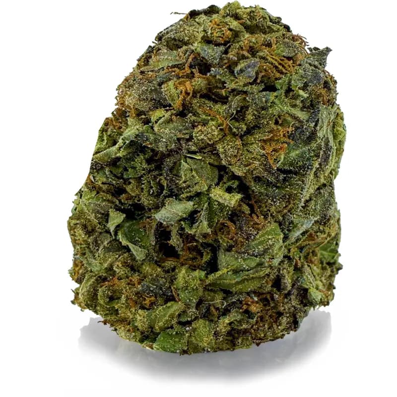 MASTER KUSH flower listing