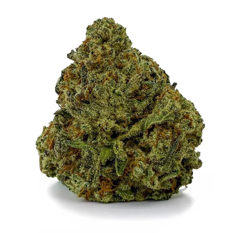 SLURRICANE flower listing
