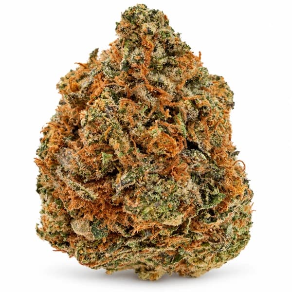 REAPER PINK DEATH flower listing