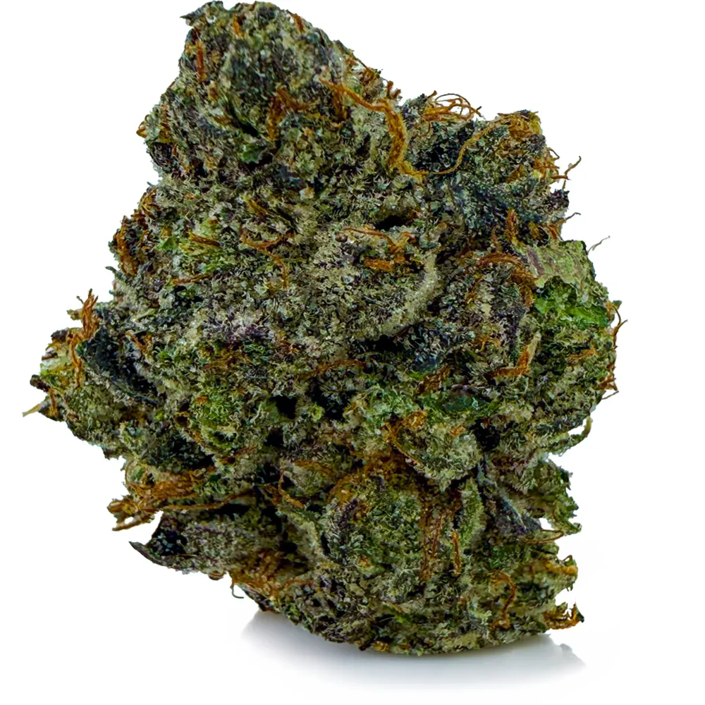 PURE MICHIGAN related flower listing