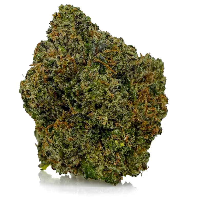 PINK STARKILLER flower listing