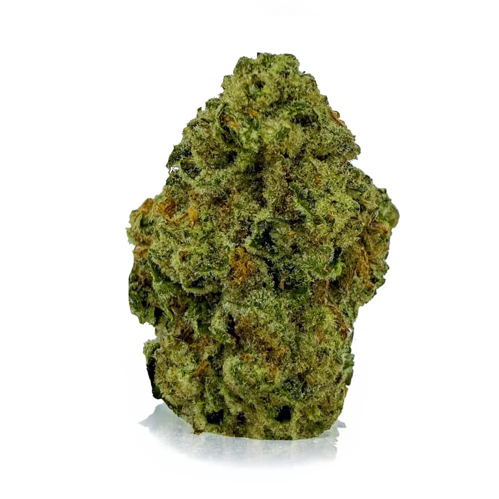 FROSTED COOKIES flower listing