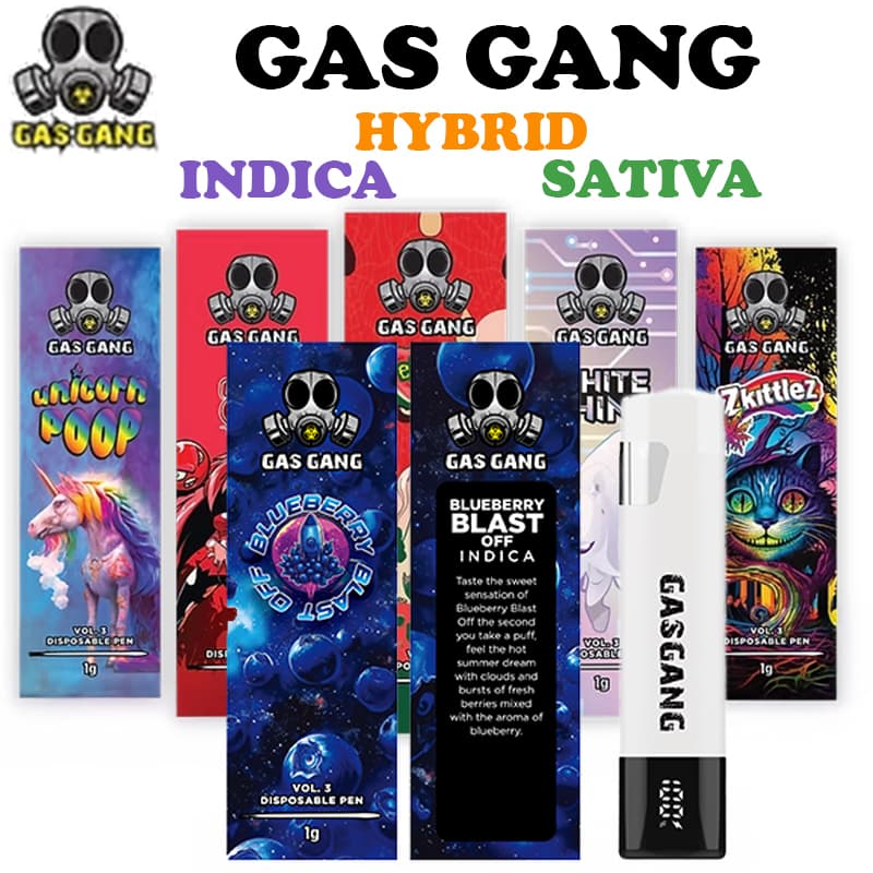 GAS GANG DISPO VAPE 1G product listing